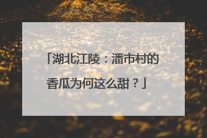 湖北江陵：潘市村的香瓜为何这么甜？