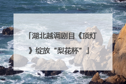 湖北越调剧目《顶灯》绽放“梨花杯”