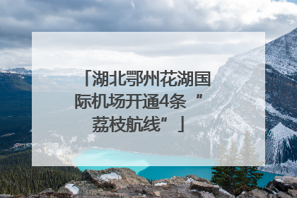 湖北鄂州花湖国际机场开通4条“荔枝航线”