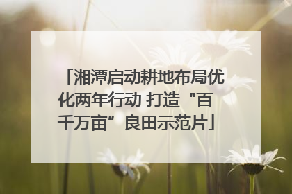 湘潭启动耕地布局优化两年行动 打造“百千万亩”良田示范片
