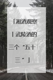 湘酒观察丨武陵酒的三个“五十三 ”