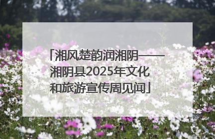 湘风楚韵润湘阴——湘阴县2025年文化和旅游宣传周见闻