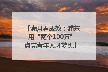 满月看成效：浦东用“两个100万”点亮青年人才梦想