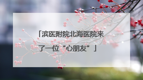 滨医附院北海医院来了一位“心朋友”