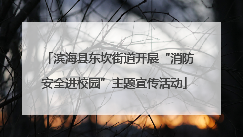 滨海县东坎街道开展“消防安全进校园”主题宣传活动