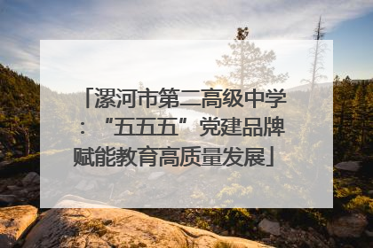 漯河市第二高级中学：“五五五”党建品牌赋能教育高质量发展