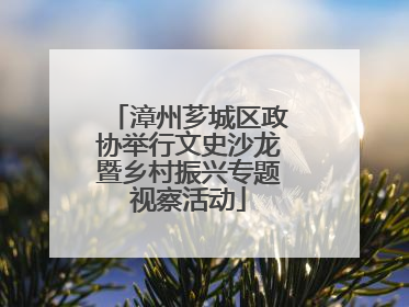 漳州芗城区政协举行文史沙龙暨乡村振兴专题视察活动