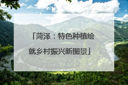菏泽：特色种植绘就乡村振兴新图景