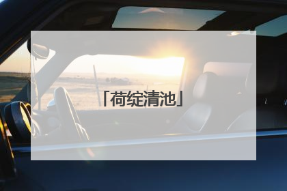 荷绽清池