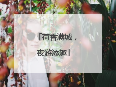 荷香满城，夜游添趣