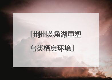 荆州菱角湖重塑鸟类栖息环境