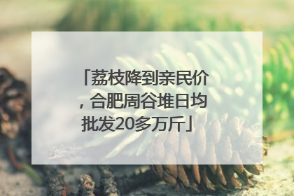 荔枝降到亲民价，合肥周谷堆日均批发20多万斤