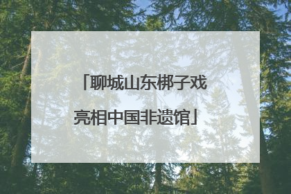聊城山东梆子戏亮相中国非遗馆