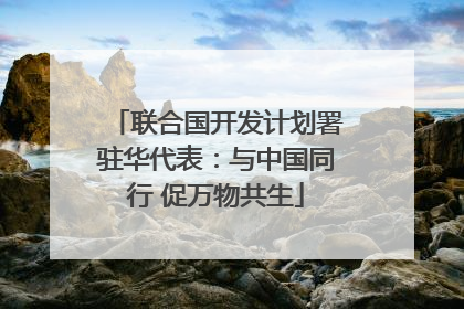 联合国开发计划署驻华代表：与中国同行 促万物共生