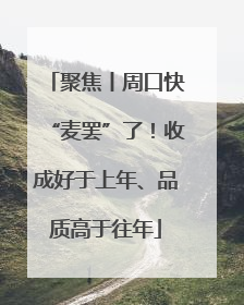 聚焦丨周口快“麦罢”了！收成好于上年、品质高于往年