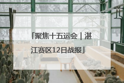 聚焦十五运会｜湛江赛区12日战报