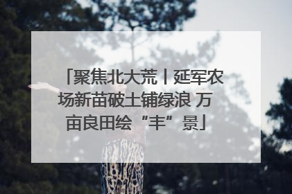聚焦北大荒丨延军农场新苗破土铺绿浪 万亩良田绘“丰”景