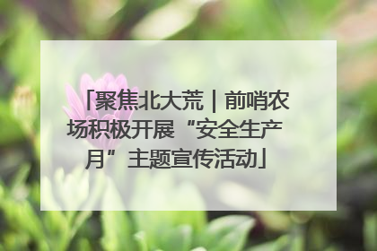 聚焦北大荒｜前哨农场积极开展“安全生产月”主题宣传活动
