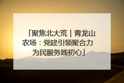 聚焦北大荒｜青龙山农场：党建引领聚合力 为民服务践初心