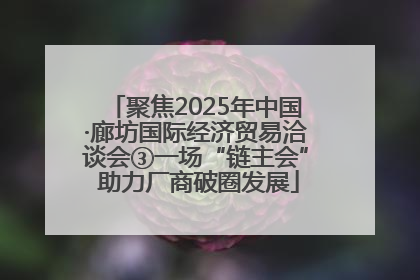 聚焦2025年中国·廊坊国际经济贸易洽谈会③一场“链主会” 助力厂商破圈发展