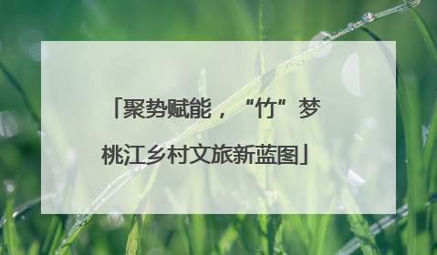 聚势赋能，“竹”梦桃江乡村文旅新蓝图