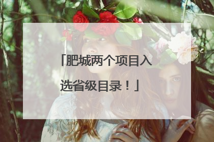 肥城两个项目入选省级目录！