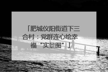 肥城仪阳街道下三合村：党群连心绘幸福“实景图”