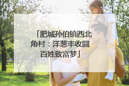 肥城孙伯镇西北角村：洋葱丰收圆百姓致富梦