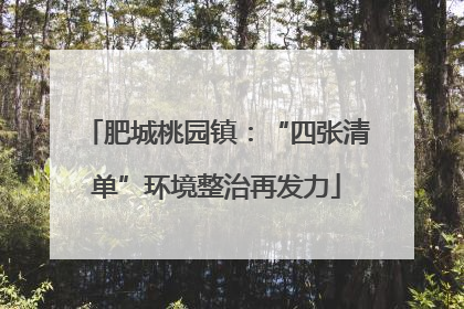 肥城桃园镇：“四张清单”环境整治再发力