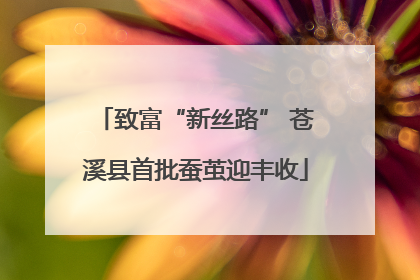 致富“新丝路” 苍溪县首批蚕茧迎丰收