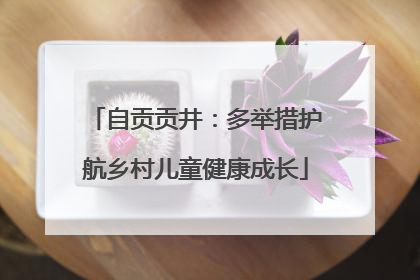 自贡贡井：多举措护航乡村儿童健康成长