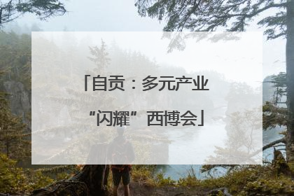 自贡：多元产业“闪耀”西博会