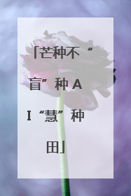 芒种不“盲”种 AI“慧”种田