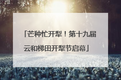 芒种忙开犁！第十九届云和梯田开犁节启幕