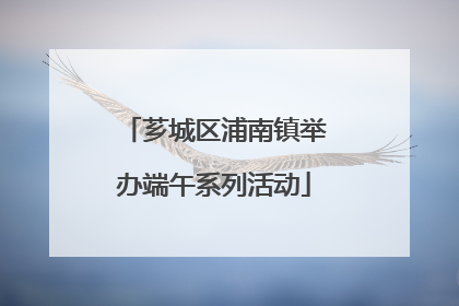 芗城区浦南镇举办端午系列活动