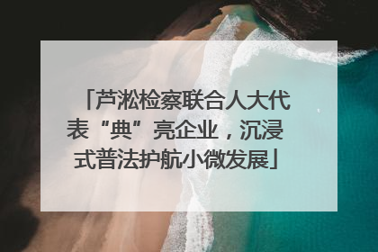 芦淞检察联合人大代表“典”亮企业，沉浸式普法护航小微发展