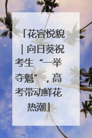 花容悦貌｜向日葵祝考生“一举夺魁”，高考带动鲜花热潮
