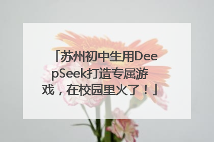 苏州初中生用DeepSeek打造专属游戏，在校园里火了！