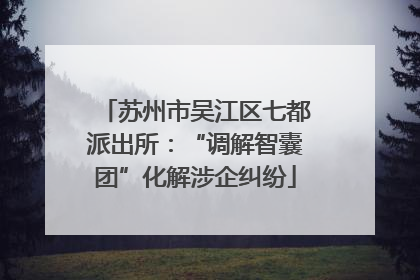 苏州市吴江区七都派出所：“调解智囊团”化解涉企纠纷