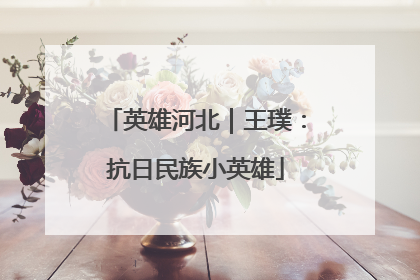 英雄河北｜王璞：抗日民族小英雄