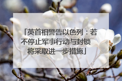英首相警告以色列：若不停止军事行动与封锁 将采取进一步措施