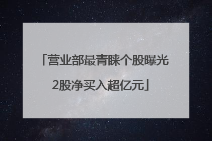 营业部最青睐个股曝光 2股净买入超亿元