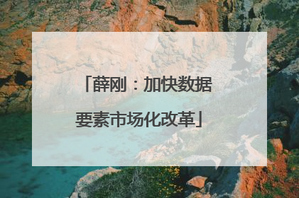 薛刚：加快数据要素市场化改革