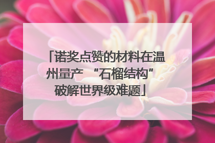 诺奖点赞的材料在温州量产 “石榴结构”破解世界级难题