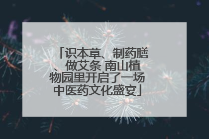 识本草、制药膳、做艾条 南山植物园里开启了一场中医药文化盛宴