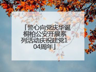 警心向党庆华诞 桐柏公安开展系列活动庆祝建党104周年