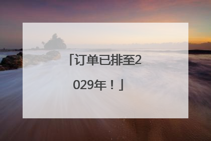 订单已排至2029年！