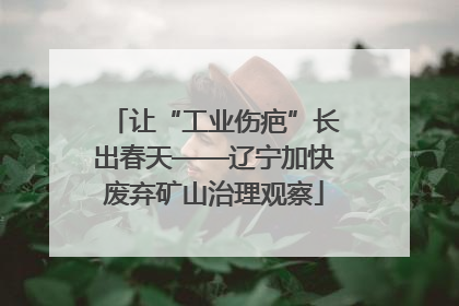 让“工业伤疤”长出春天——辽宁加快废弃矿山治理观察
