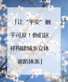 让“平安”触手可及！他们这样构建城乡立体巡防体系