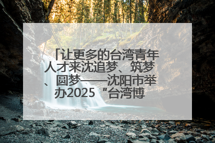 让更多的台湾青年人才来沈追梦、筑梦、圆梦——沈阳市举办2025“台湾博士沈阳行”活动